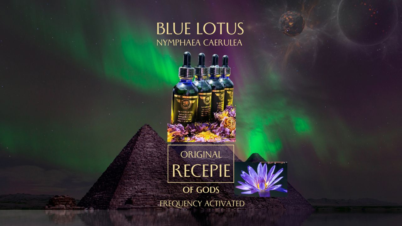 Discover the Divine: Ultra Potency Blue Lotus Nymphaea Caerulea Essential Oils